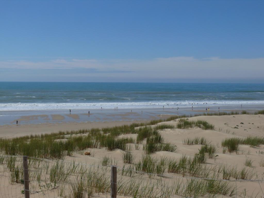 Le Sommet Des Dunes Hotel Lege-Cap-Ferret Phòng bức ảnh